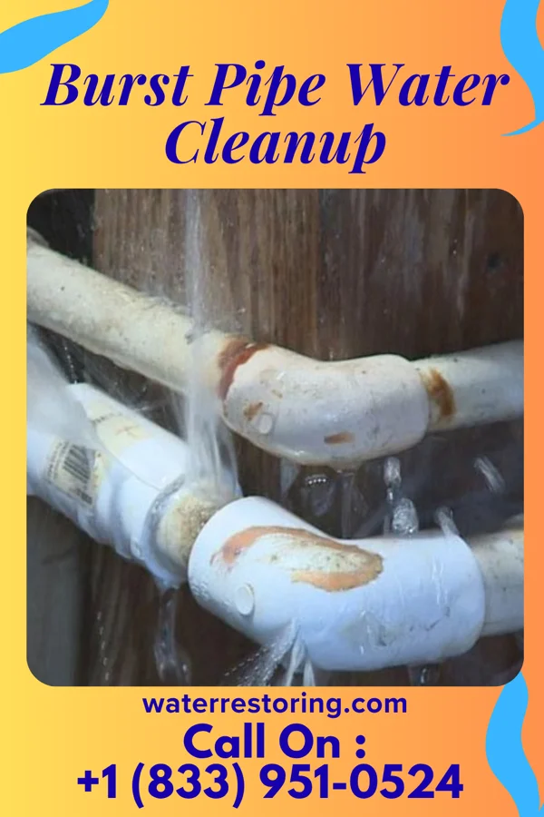 Burst Pipe Water Cleanup in Jenkintown, PA