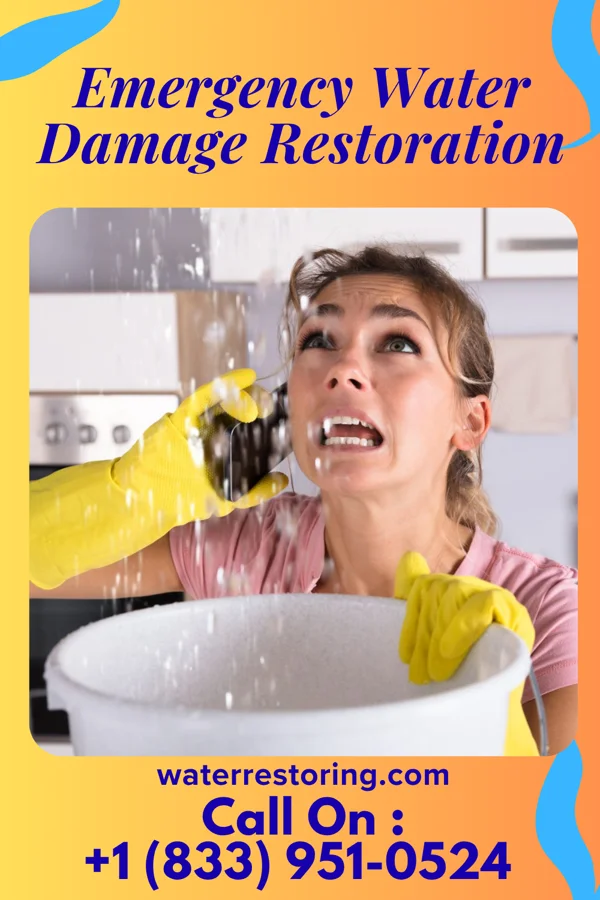 Emergency Water Damage Restoration in Jenkintown, PA