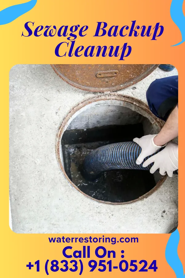 Sewage Backup Cleanup in Jenkintown, PA